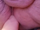 Krisss79 Krisss79