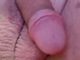Krisss79 Krisss79