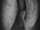 Pervman87 Pervman87