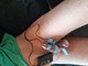 BDSM LOVE BDSM LOVE
