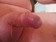 Zotya42