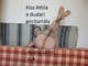 kissattidudar76